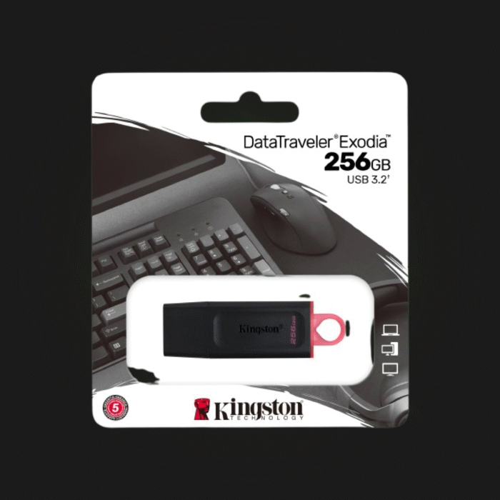ფლეშ მეხსიერება: Kingston DataTraveler DTX 256GB - Image 1