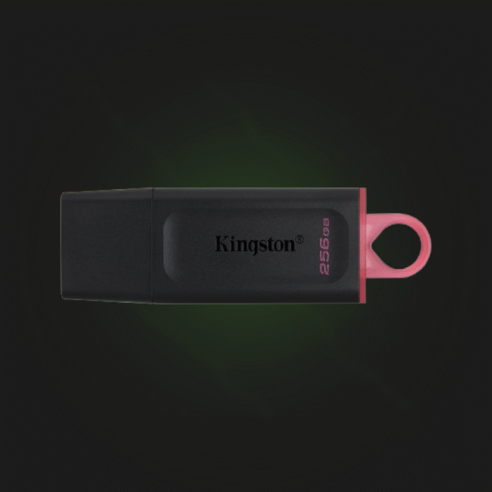 ფლეშ მეხსიერება: Kingston DataTraveler DTX 256GB - Image 2